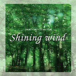 �V���C�j���O�@�E�B���h